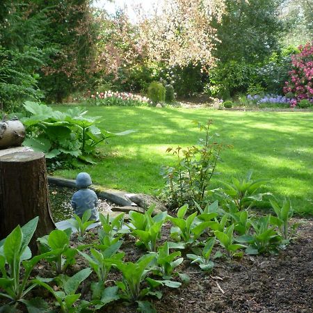 Au Vieux Cedre Bed & Breakfast Mouvaux Luaran gambar