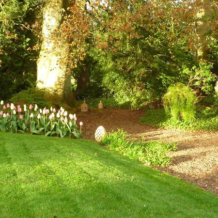 Au Vieux Cedre Bed & Breakfast Mouvaux Luaran gambar